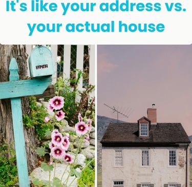 the difference between domain and hosting 