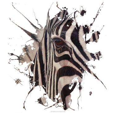 a zebra is shown with a splash of paint on it