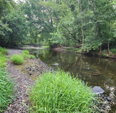 creek fishing