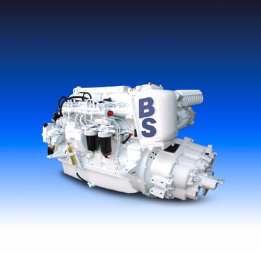 Motore Marino del marchio Boni Motori Marini modello 66 CTIM