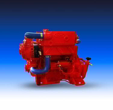 Motore marino rosso del marchio Boni Motori Marini modello 3.1647