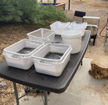 outdoor set up to wash wool in baskets