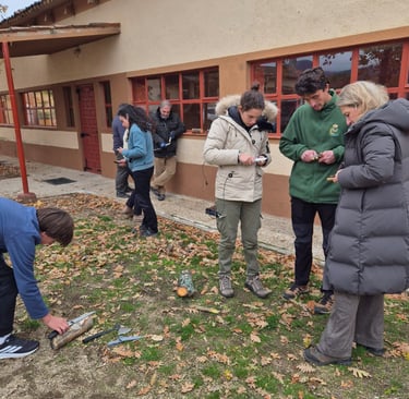 Taller de trabajo en madera, haciendo piquetas