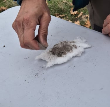 Taller del fuego, fuego con algodón y ceniza