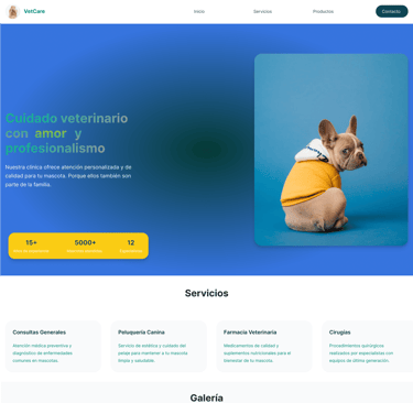 Página web antes de rediseño