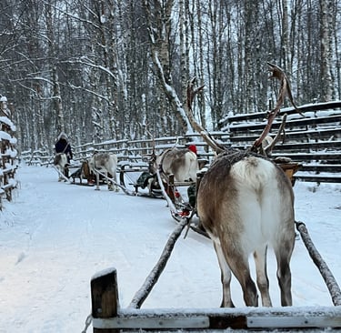 Sleigh Ride