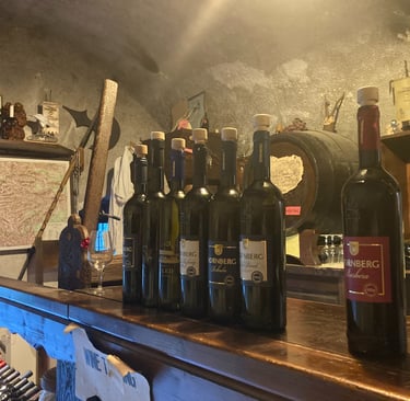 Wine tasting in Bled castle