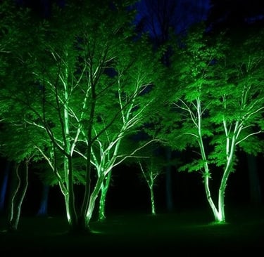 bioluminescent-trees.jpg