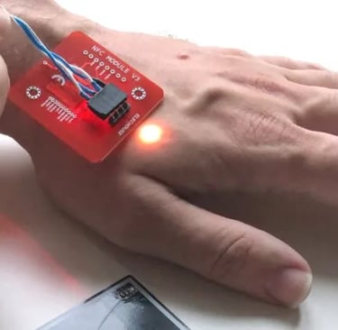 microchips.jpg