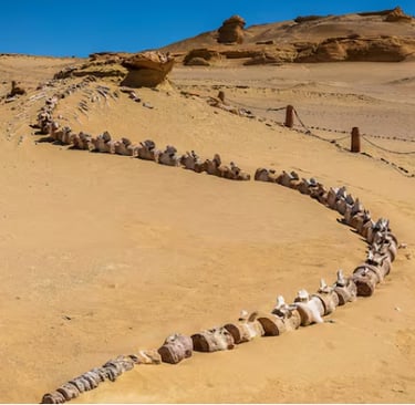 Valley of the Whales