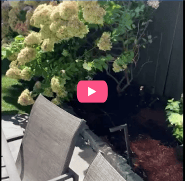 Landscaping testimonial