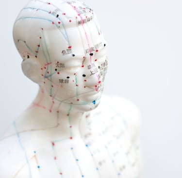 mannequin montrant les méridiens en acupuncture
