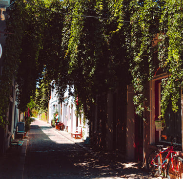 lesvos sigri holiday rentals yades apartments kitchen