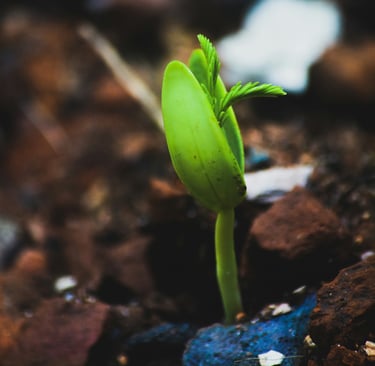 Personal growth.