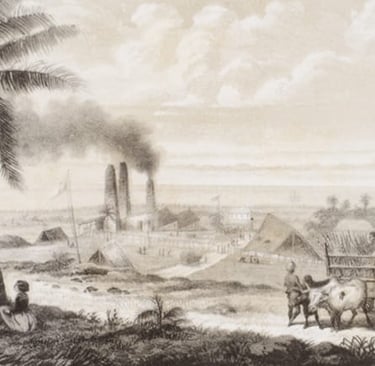 A sugar factory