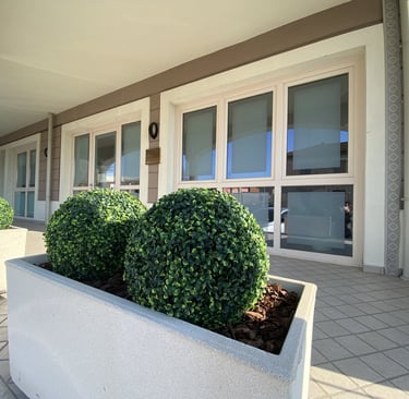 Two round artificial topiary boxwood balls in a large concrete planter outside a modern office building.