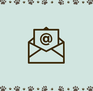 contact e-mail