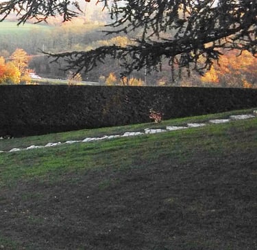 Haie taillée avec des petites marches dans le jardin.