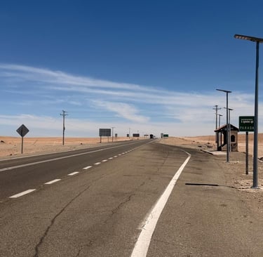 Christmas led solar street light