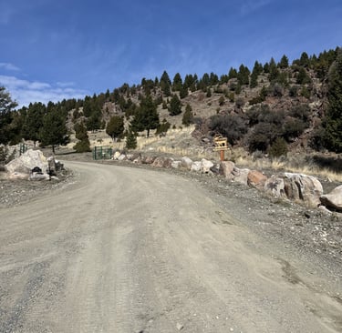 driveway gravel