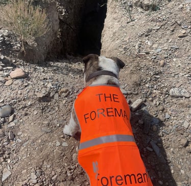 the forman