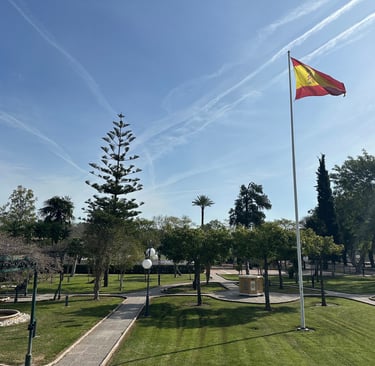 Centro deportivo y social Híspalis, Nado Libre concesionario de las actividades deportivas