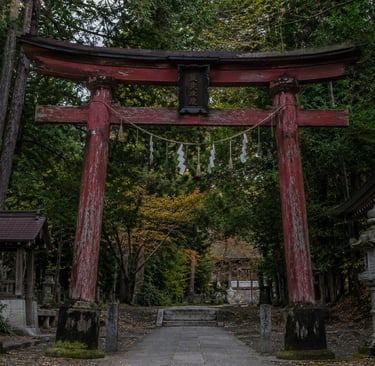 A weathered red wooden torii gate marks the entrance to a traditional Japanese Shinto shrine in a lush forest.