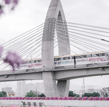 Train KTX in south Korea