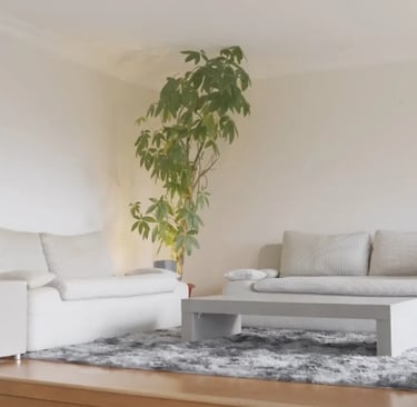 Canapé salon GRENOBLE