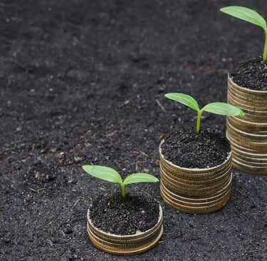 a stack of coins with a plant growing out of it