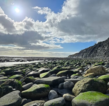 The Jurassic coast. Monmouth Beach. Fossil heaven!