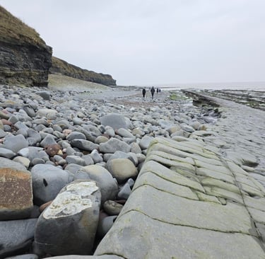Kilve beach in Sommerset! Full of fossils!