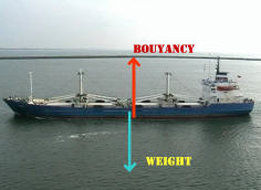 The boat is stationary in the vertical direction as there is zero resultant force