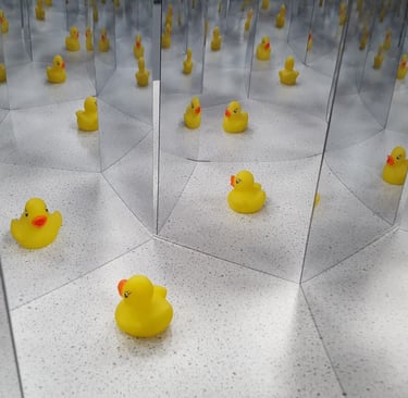 Ducks reflecting in a mirror
