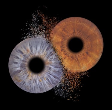 photo iris couple bordeaux