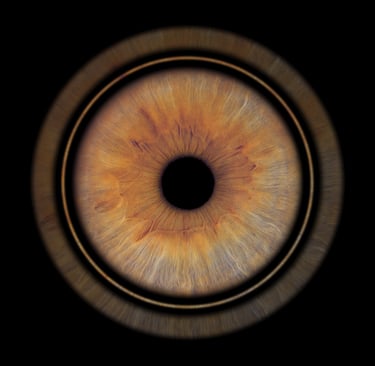 photo pupille bordeaux