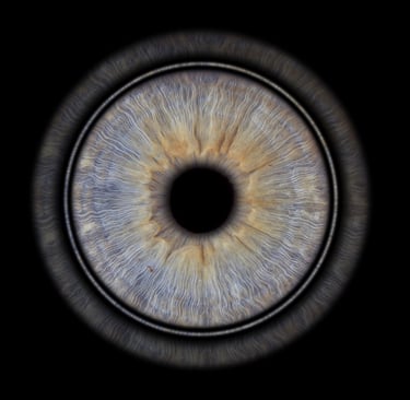 idée cadeau famille bordeaux