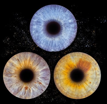 photographie iris bordeaux