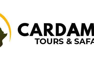 Cardamon Tours and Safaris Zanzibar – expert travel company offering Zanzibar tours, safaris, and holiday packages