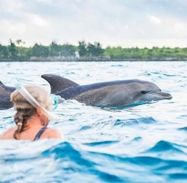 Guest snorkeling and swimming with dolphins during a Mnemba Island Zanzibar day tour