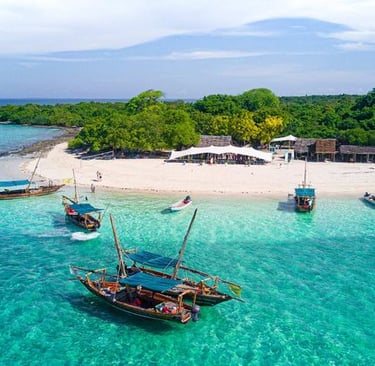 Traditional wooden boats on a Zanzibar beach with turquoise waters and green palm trees in the background