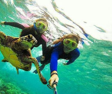 Tourists swimming and taking a selfie with a sea turtle during a Mnemba Island Zanzibar snorkeling tour