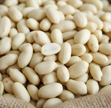 Blanched Peanuts Exporters From India 