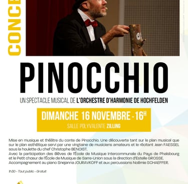 Affiche concert Pinocchio