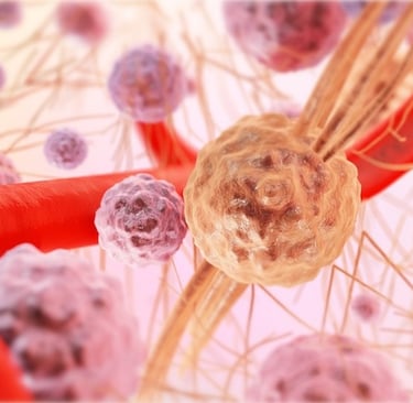 Microscopic image of connective tissue with cells and capilaries.