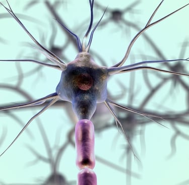 Microscopic image of a neuron.