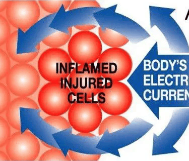 Graph showing how inflamed injured cells behave.