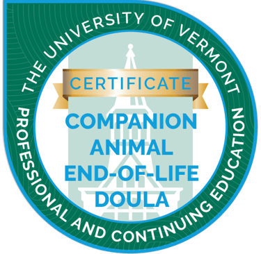UVM companion animal end-of-life doula certificate Sólyom Fekete Eszter