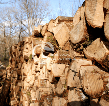une pile de bûches empilées les unes sur les autres