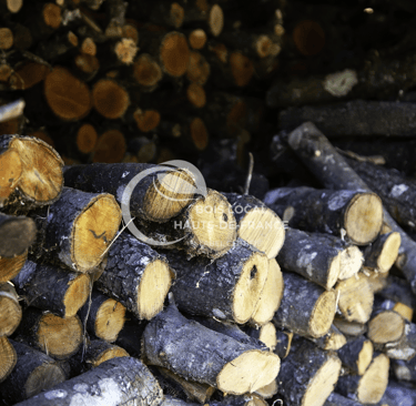 une pile de bûches empilées